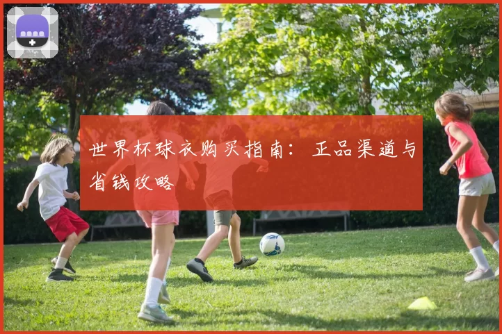世界杯球衣购买指南:正品渠道与省钱攻略