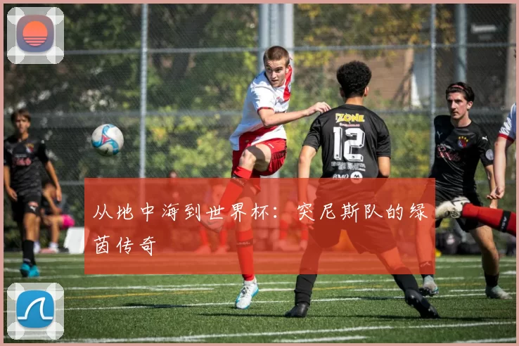 从地中海到世界杯：突尼斯队的绿茵传奇