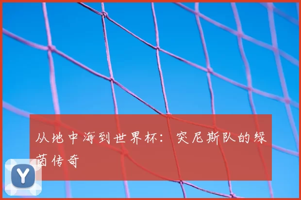 从地中海到世界杯：突尼斯队的绿茵传奇