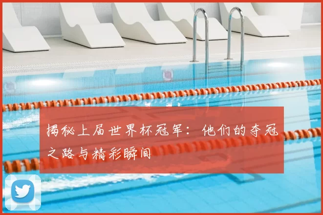 揭秘上届世界杯冠军:他们的夺冠之路与精彩瞬间