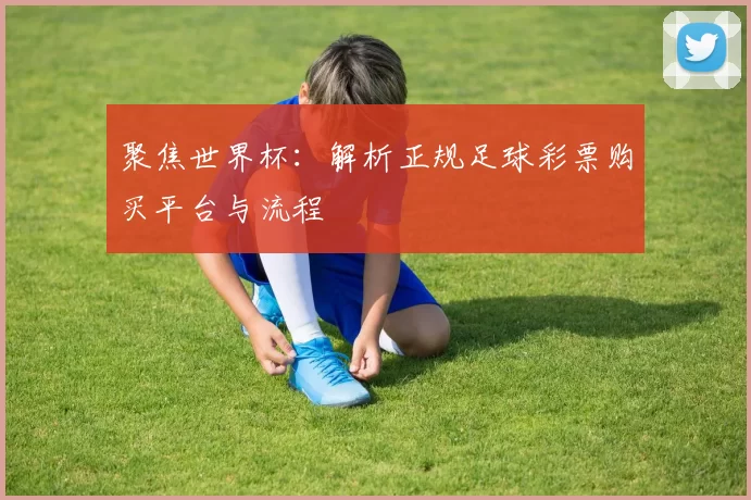 聚焦世界杯：解析正规足球彩票购买平台与流程