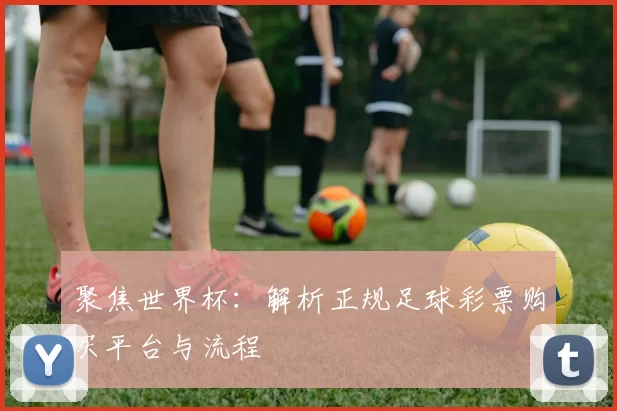 聚焦世界杯:解析正规足球彩票购买平台与流程