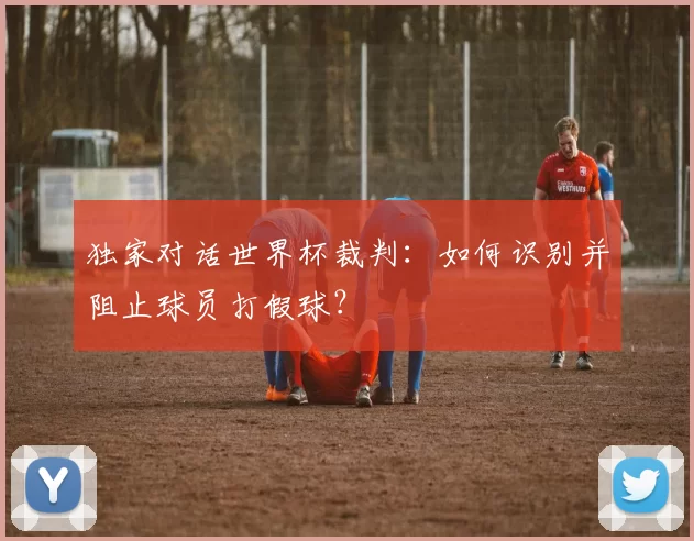 独家对话世界杯裁判:如何识别并阻止球员打假球?