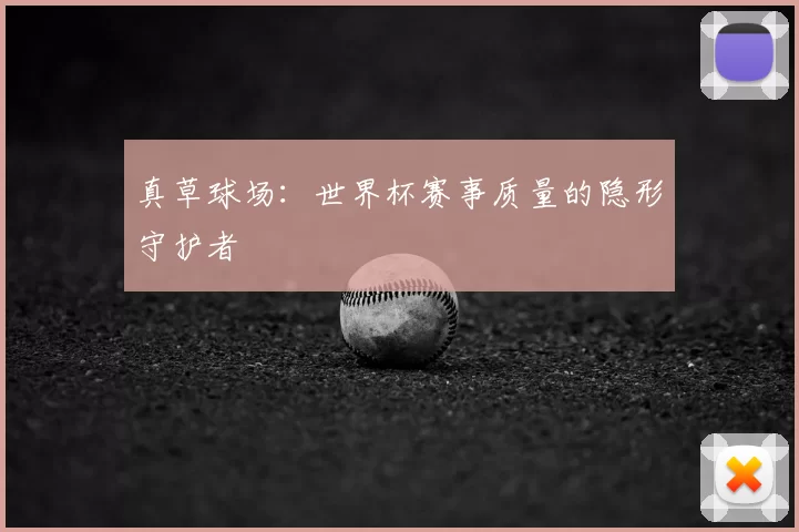 真草球场:世界杯赛事质量的隐形守护者