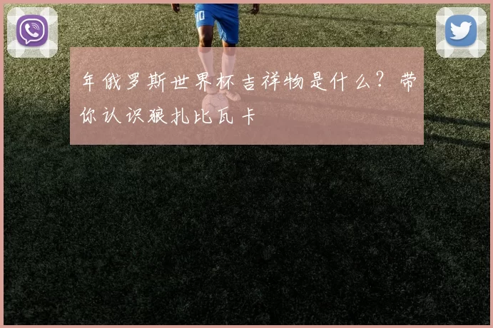 年俄罗斯世界杯吉祥物是什么?带你认识狼扎比瓦卡