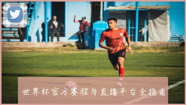 世界杯官方赛程与直播平台全指南