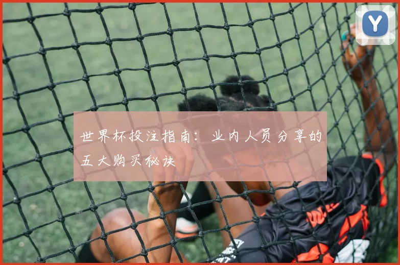 世界杯投注指南:业内人员分享的五大购买秘诀