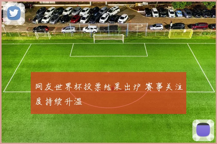 网友世界杯投票结果出炉 赛事关注度持续升温