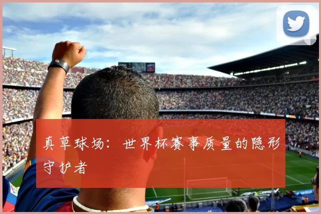 真草球场:世界杯赛事质量的隐形守护者