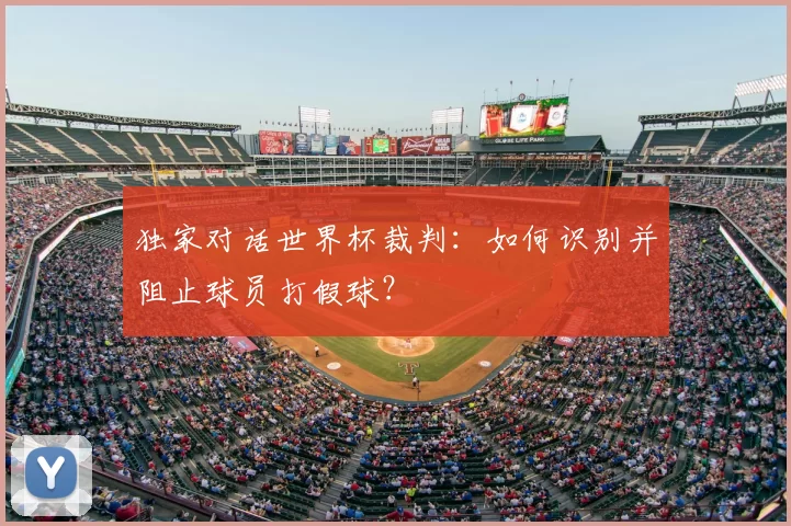 独家对话世界杯裁判:如何识别并阻止球员打假球?