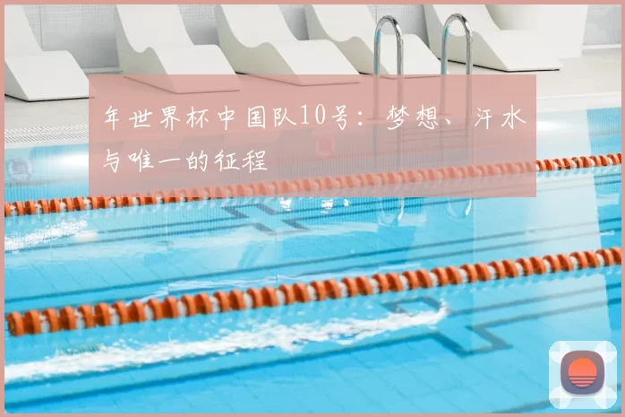 年世界杯中国队10号:梦想、汗水与唯一的征程