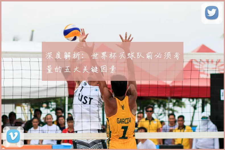 深度解析:世界杯买球队前必须考量的五大关键因素